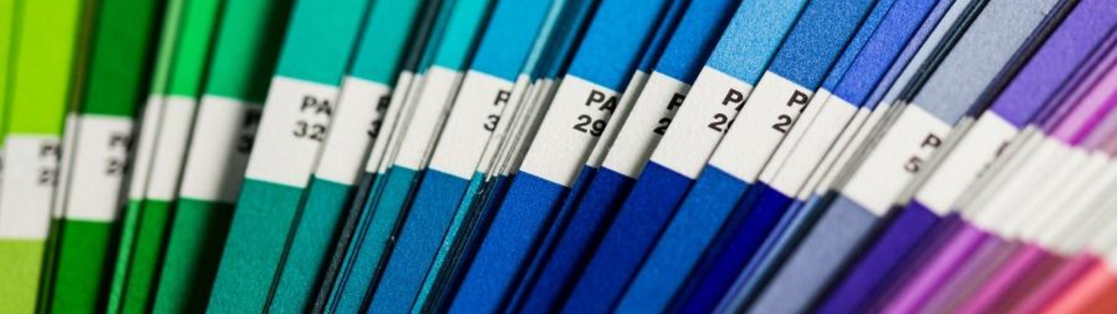 A close up of different colour swatches
