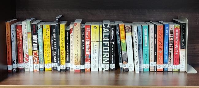 Photo of part of the Haddon Library fiction collection